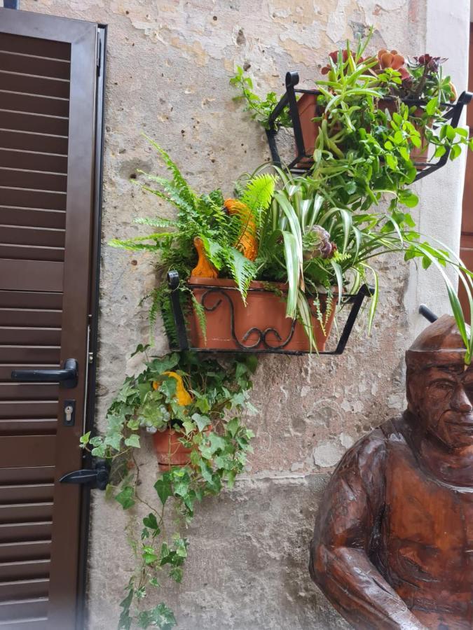 Hotel Rifugio dei Saraceni Vallecrosia Esterno foto